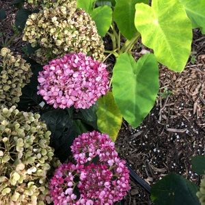 ❤️ Bundle and SAVE!! 20% off two or more items